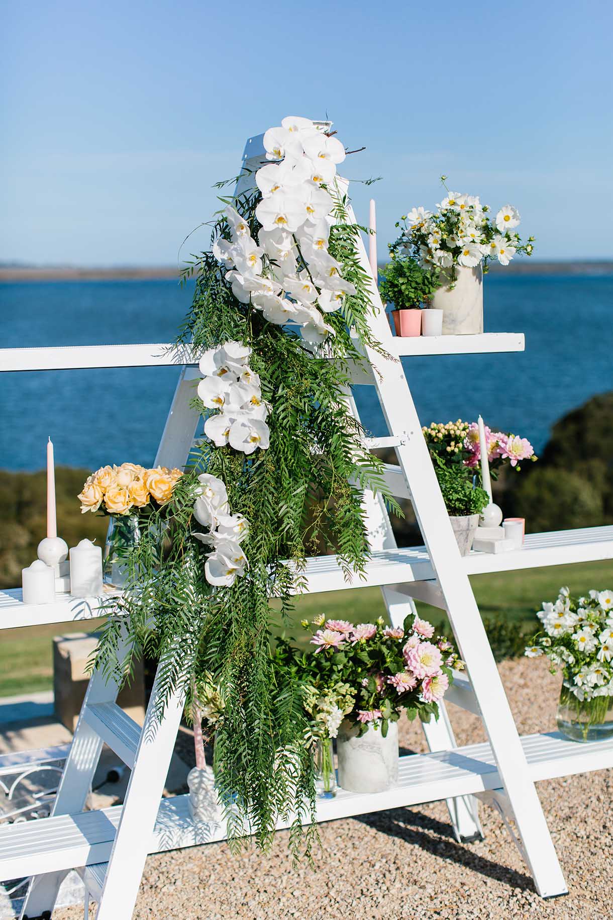 insitu-scaffold-shelving