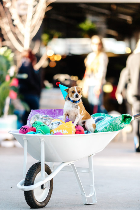 insitu-booze-barrel-WHITE