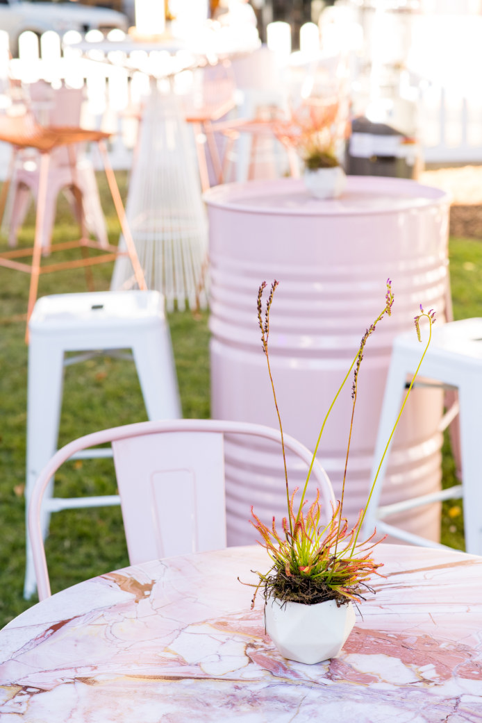 insitu-oil-drum-dusty-pink