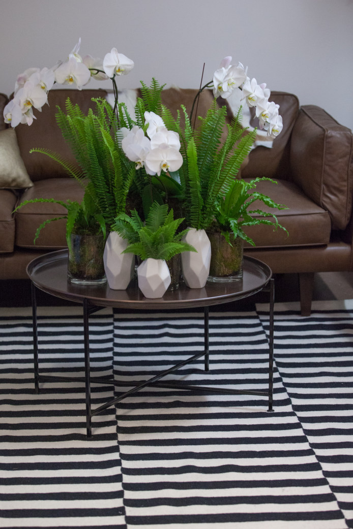 insitu-phoenix-lounge2