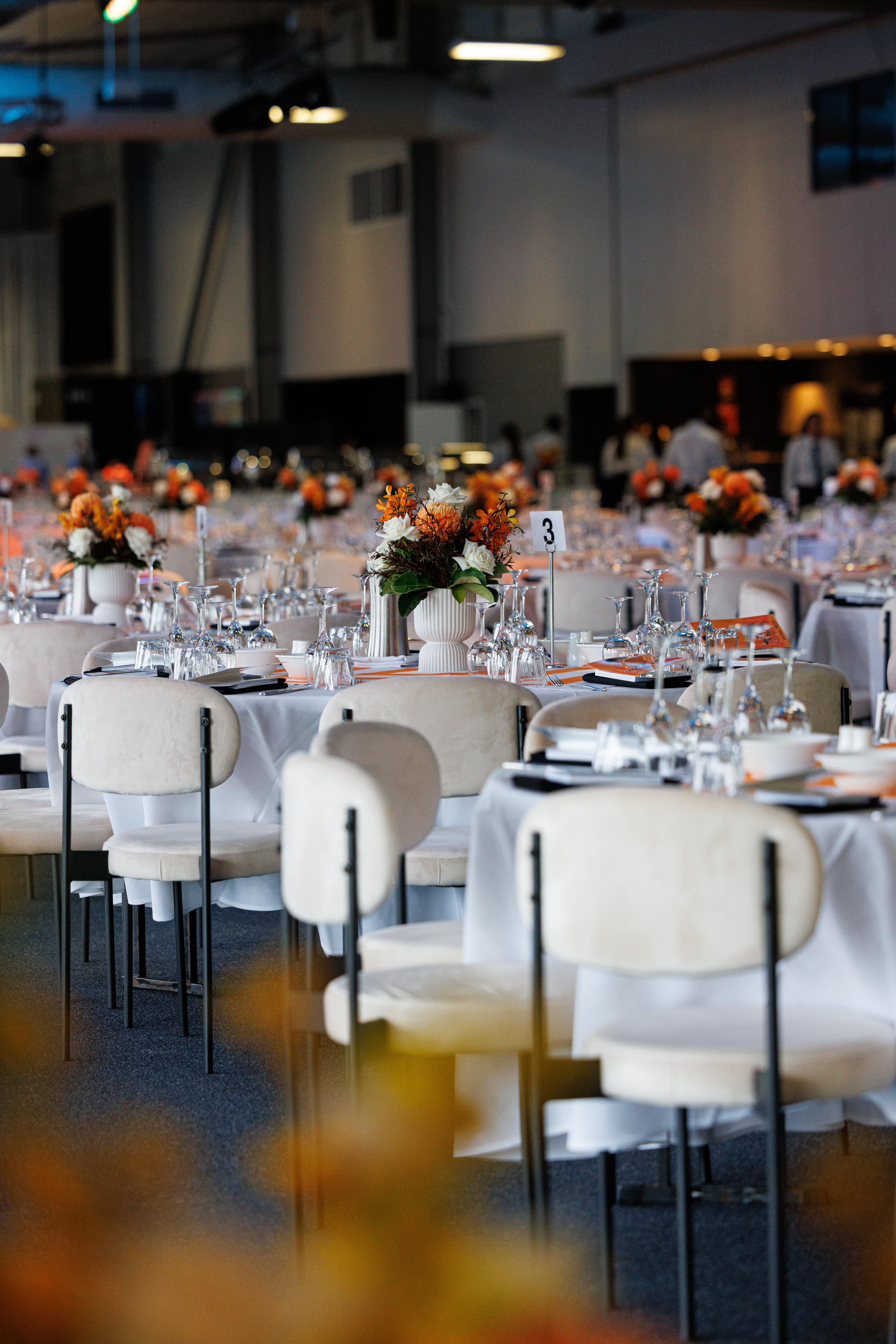 2025 – 01 Jan – Qld – GCTC Magic Millions (64)