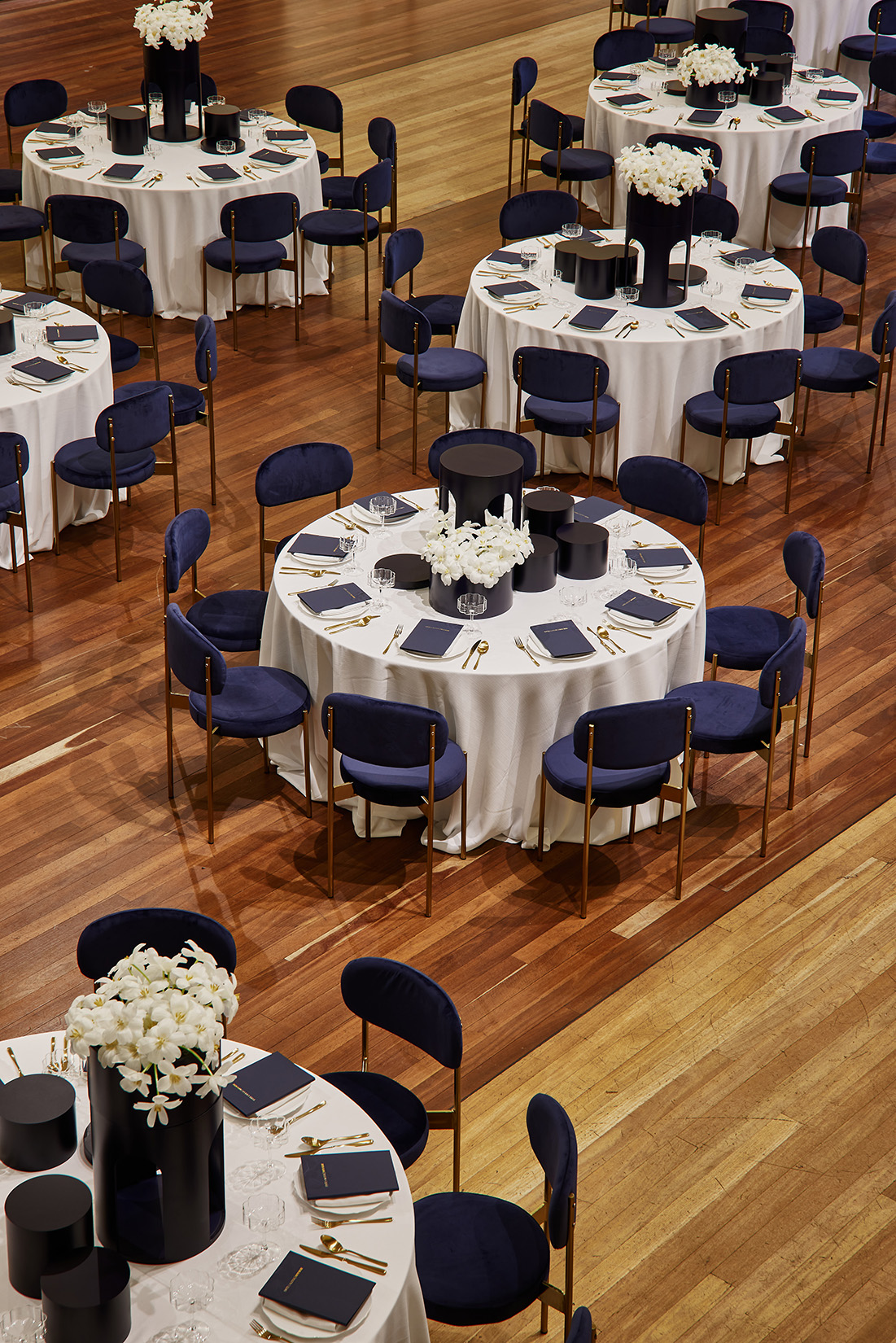 insitu-duke-chair-navy-gold