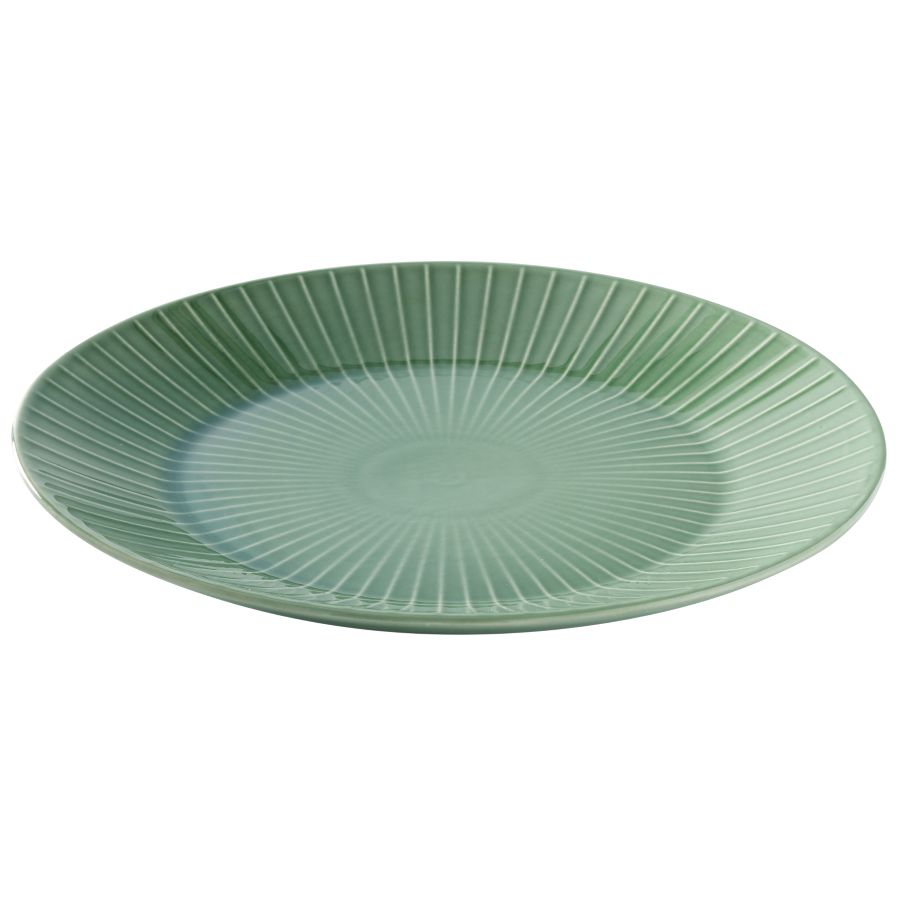 Sage-Dinner-Plate-Angle