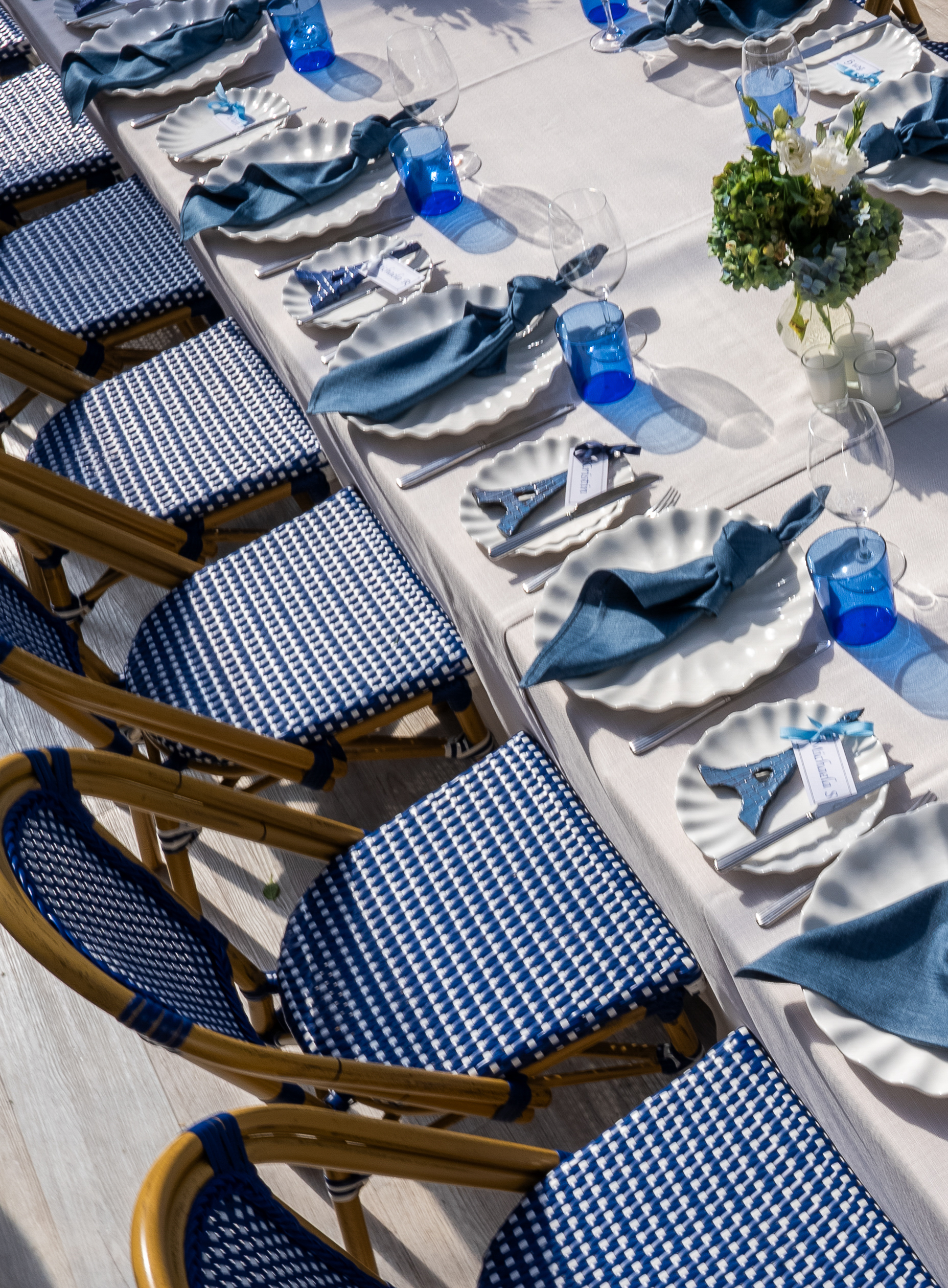 2025-02 Feb – Vic – BV104486 – Clover – Burnley Gardens – 31