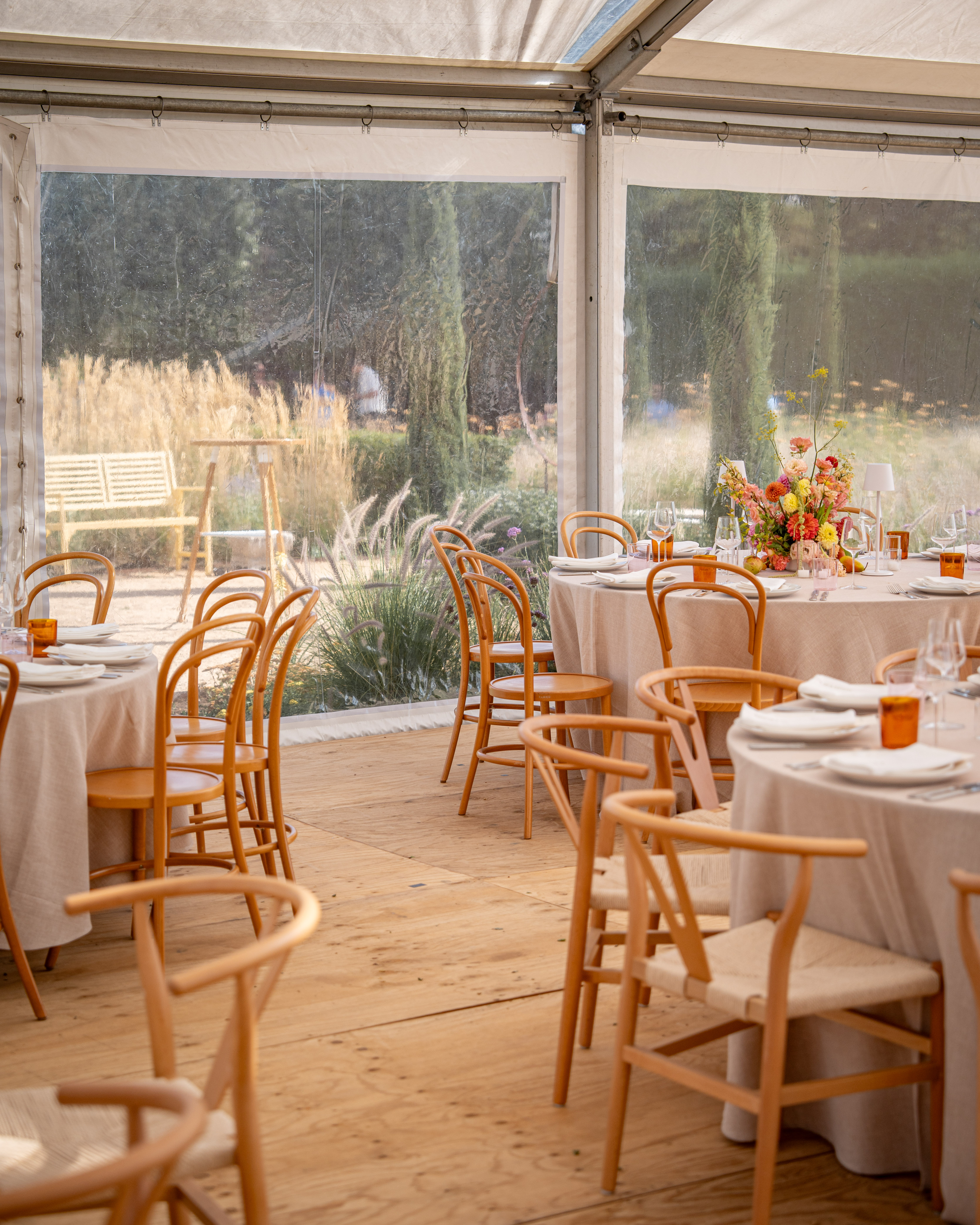 2025-02 Feb – Vic – BV104908 – Ruby & James – 36