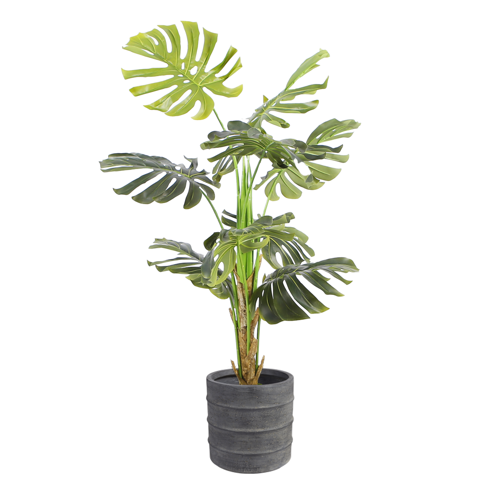 monstera-floor-plant-1.4m