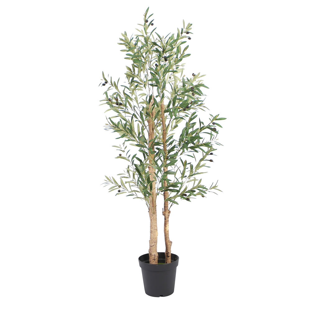 olive-tree-floor-plant-1.6m