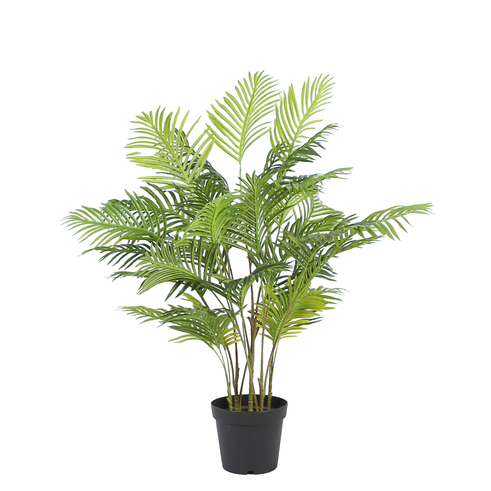 areca-palm-floor-plant-1.3m
