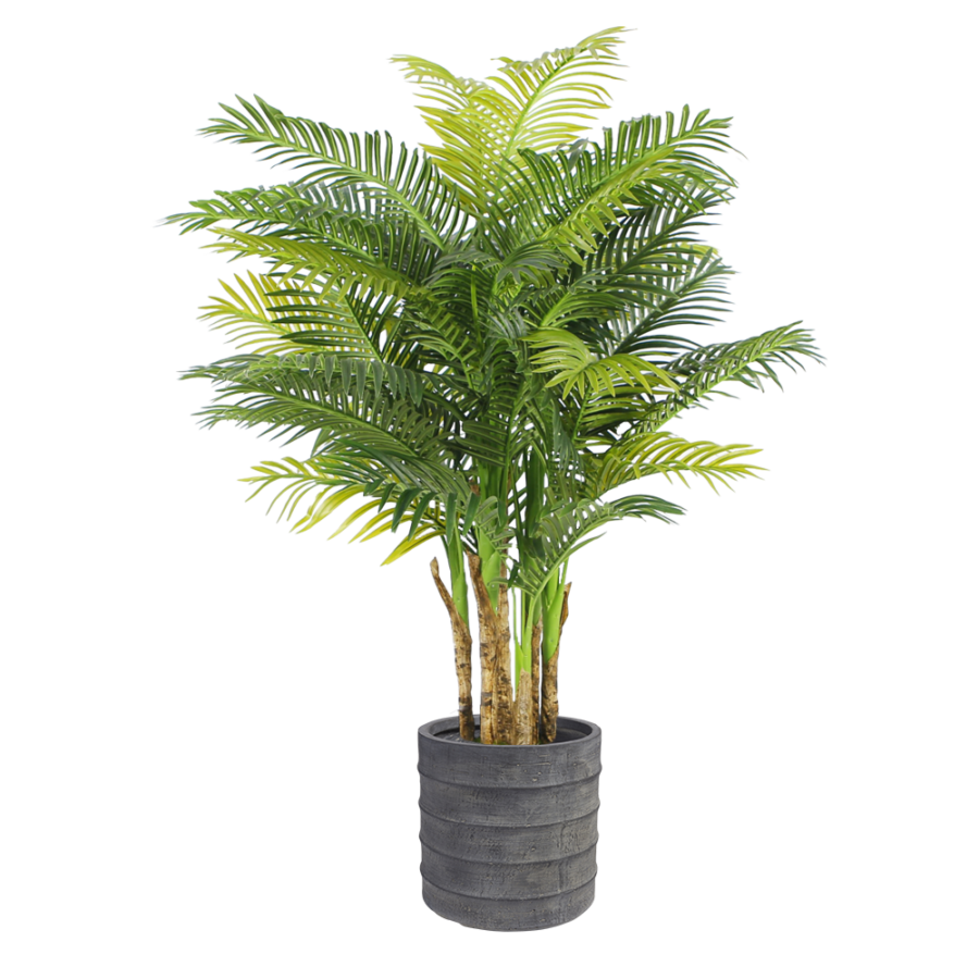 areca-palm-floor-plant-1.6m-large-white-pot