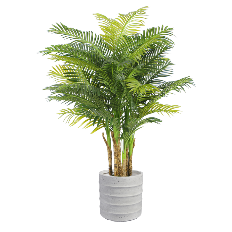areca-palm-floor-plant-1.6m-large-white-pot