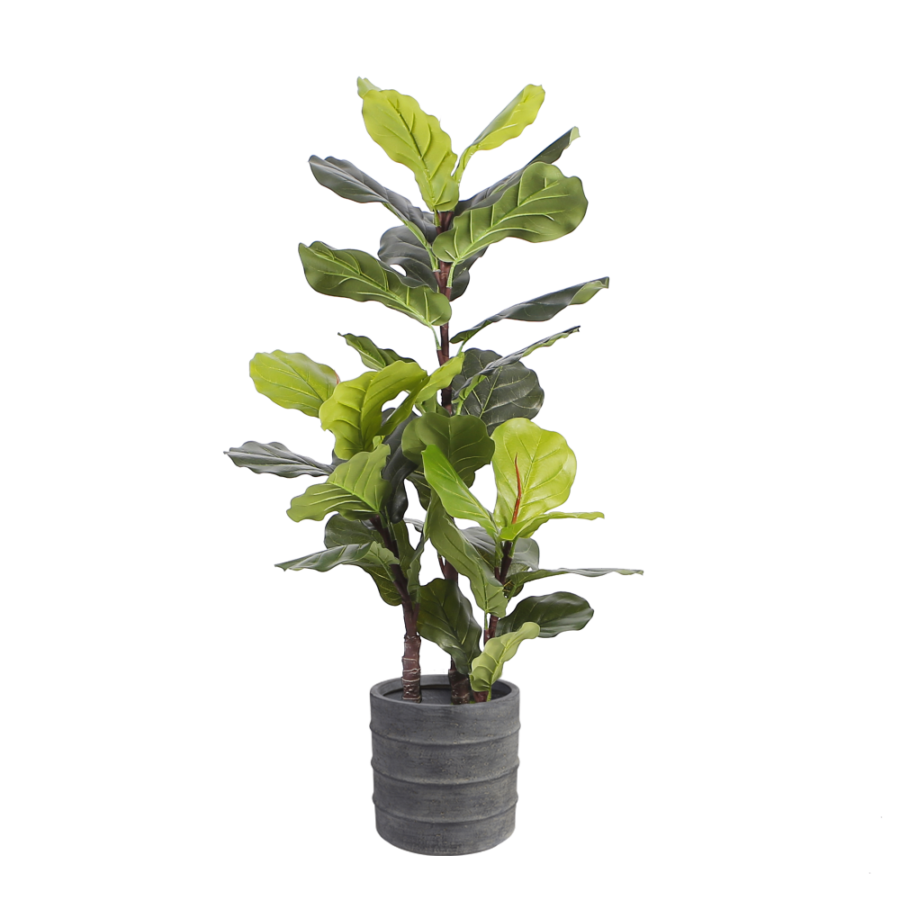 fiddle-leaf-fig-floor-plant