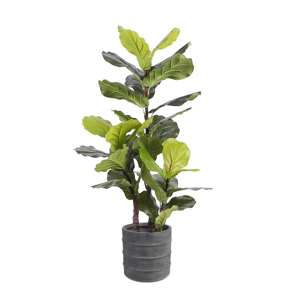 fiddle-leaf-fig-floor-plant