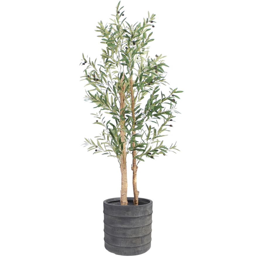 olive-tree-floor-plant-1.6m-large-grey-pot