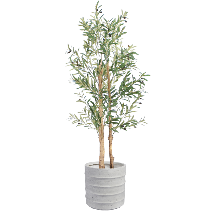 olive-tree-floor-plant-1.6m-large-grey-pot