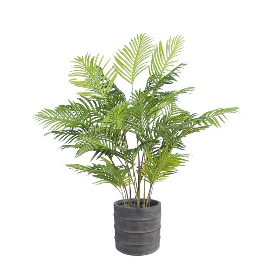 areca-palm-floor-plant-1.3m-medium-white-pot