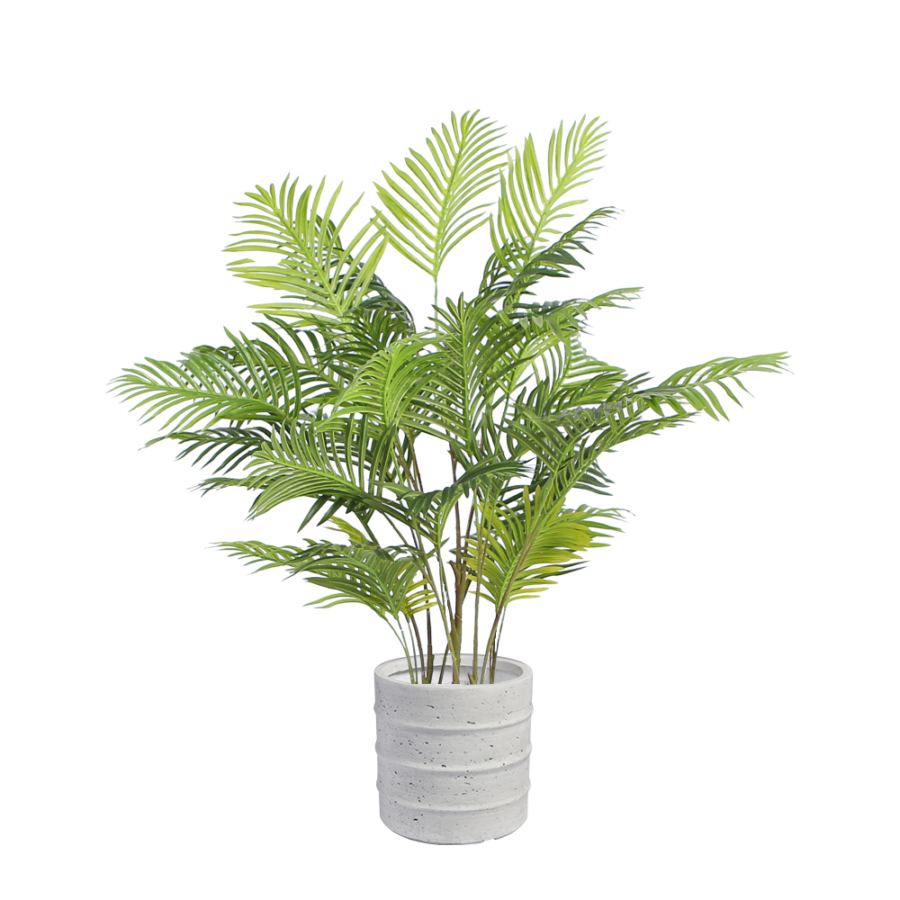 areca-palm-floor-plant-1.3m-medium-white-pot