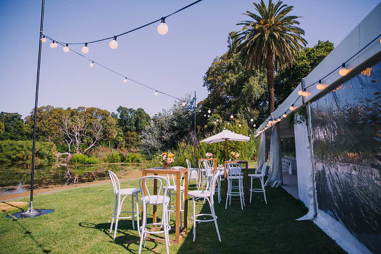 insitu-bentwood-stool-with-back-white
