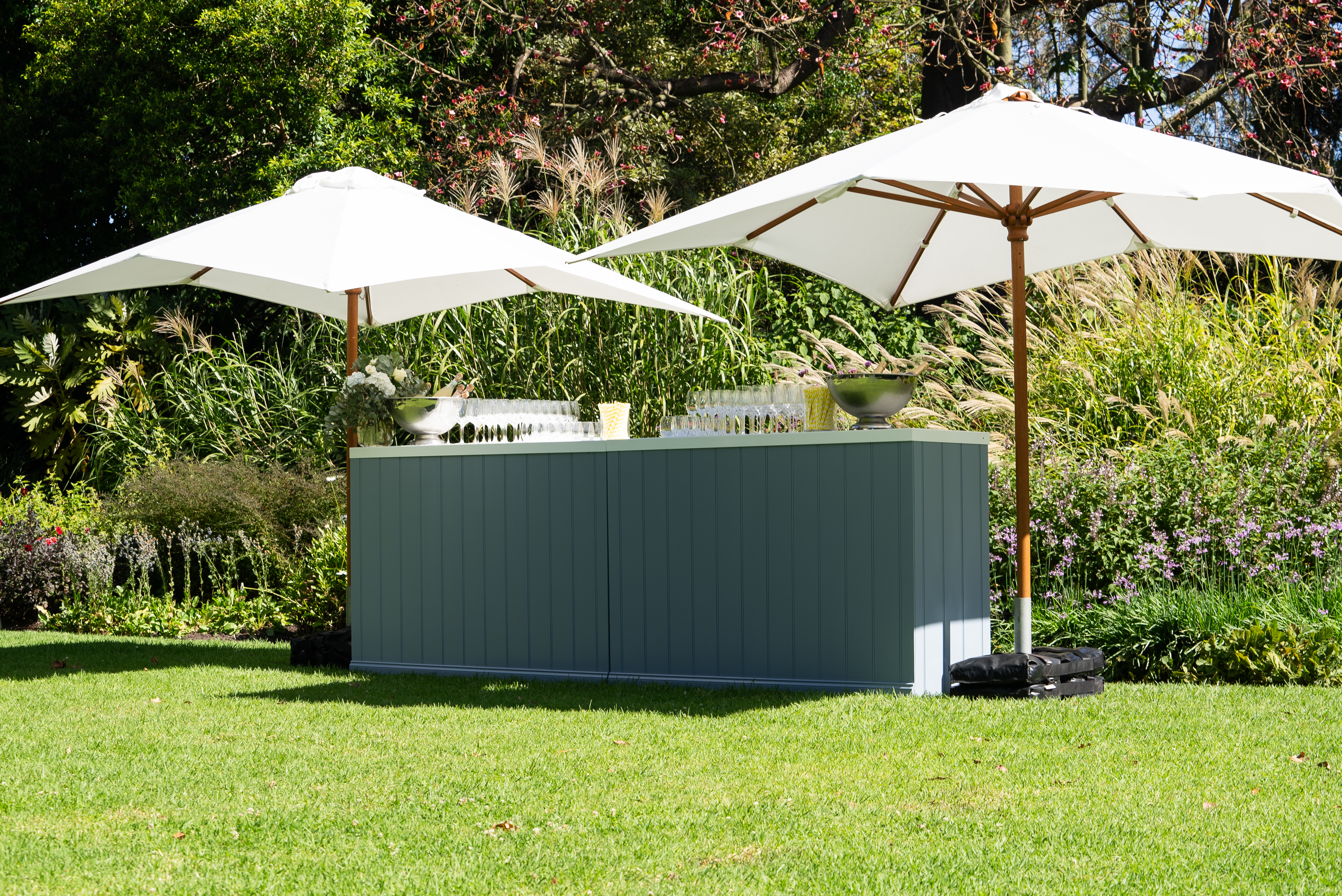 2025-02 Feb – Vic – BV104486 – Clover – Burnley Gardens – 75