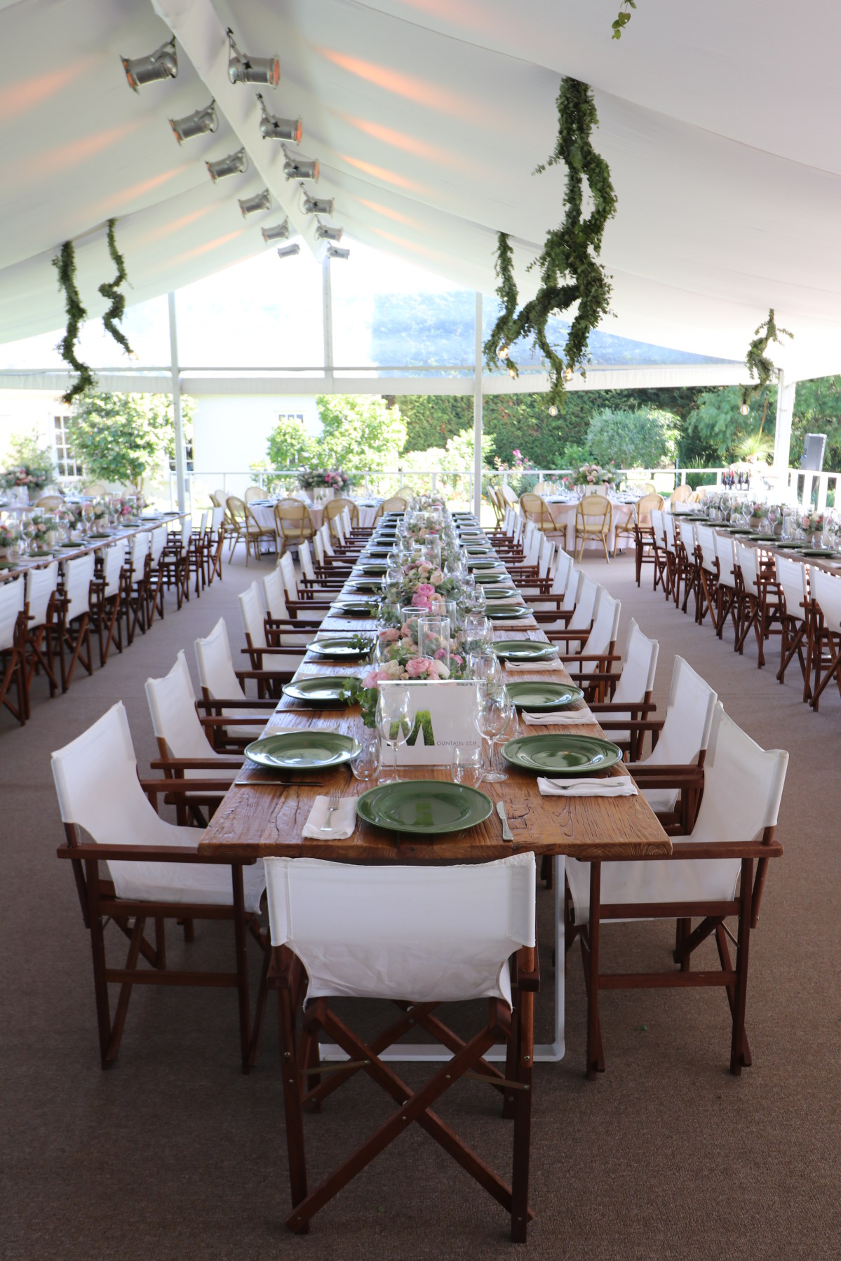 insitu-directors-chair