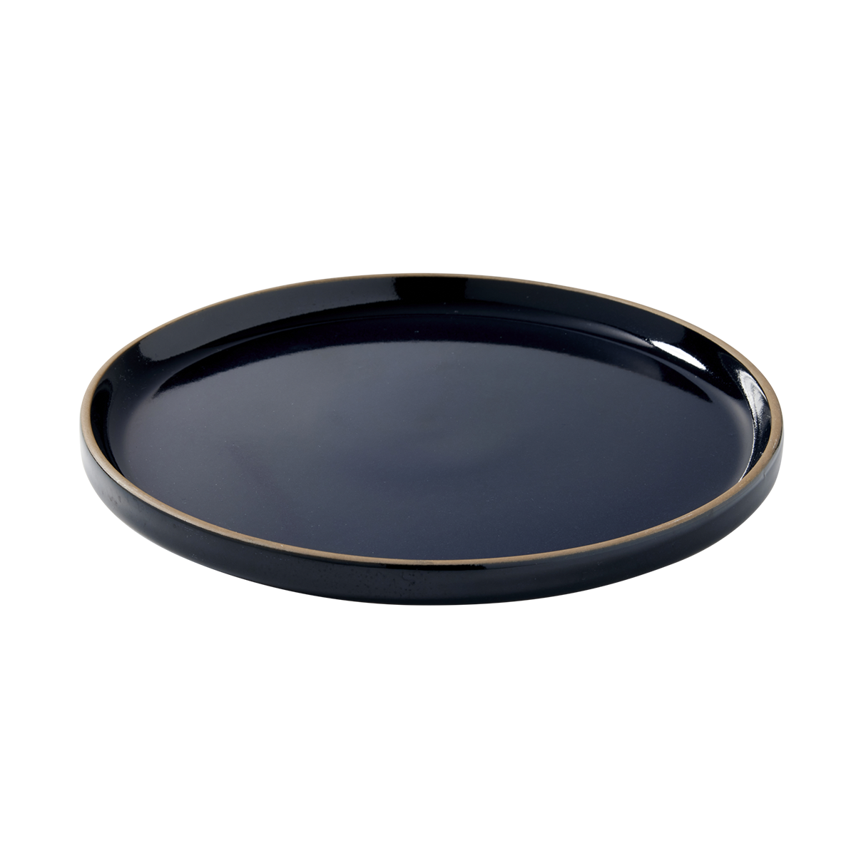 Husk-Entrée-Plate-Midnight–23cm-Angle