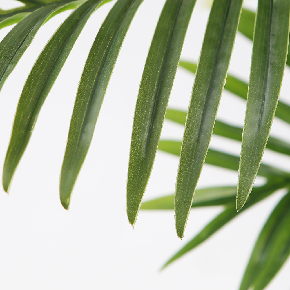 areca-palm-leaves-2