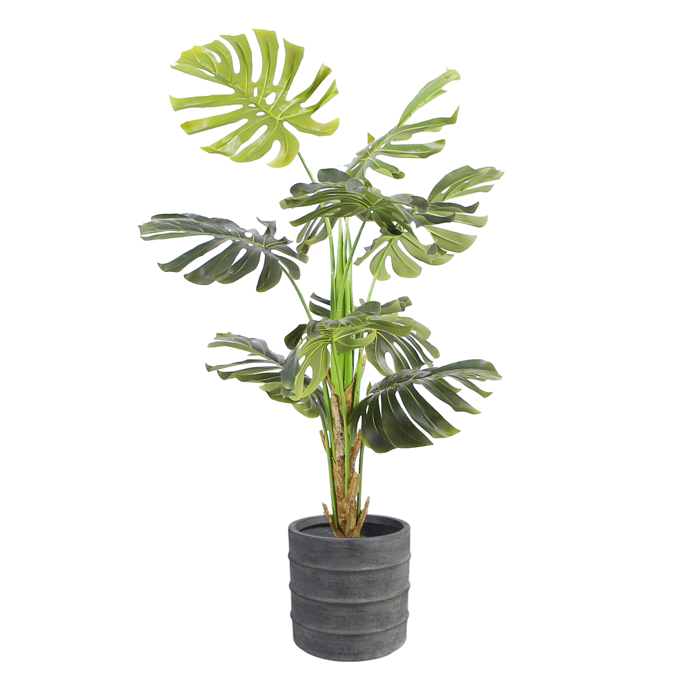 monstera-floor-plant-1.4m