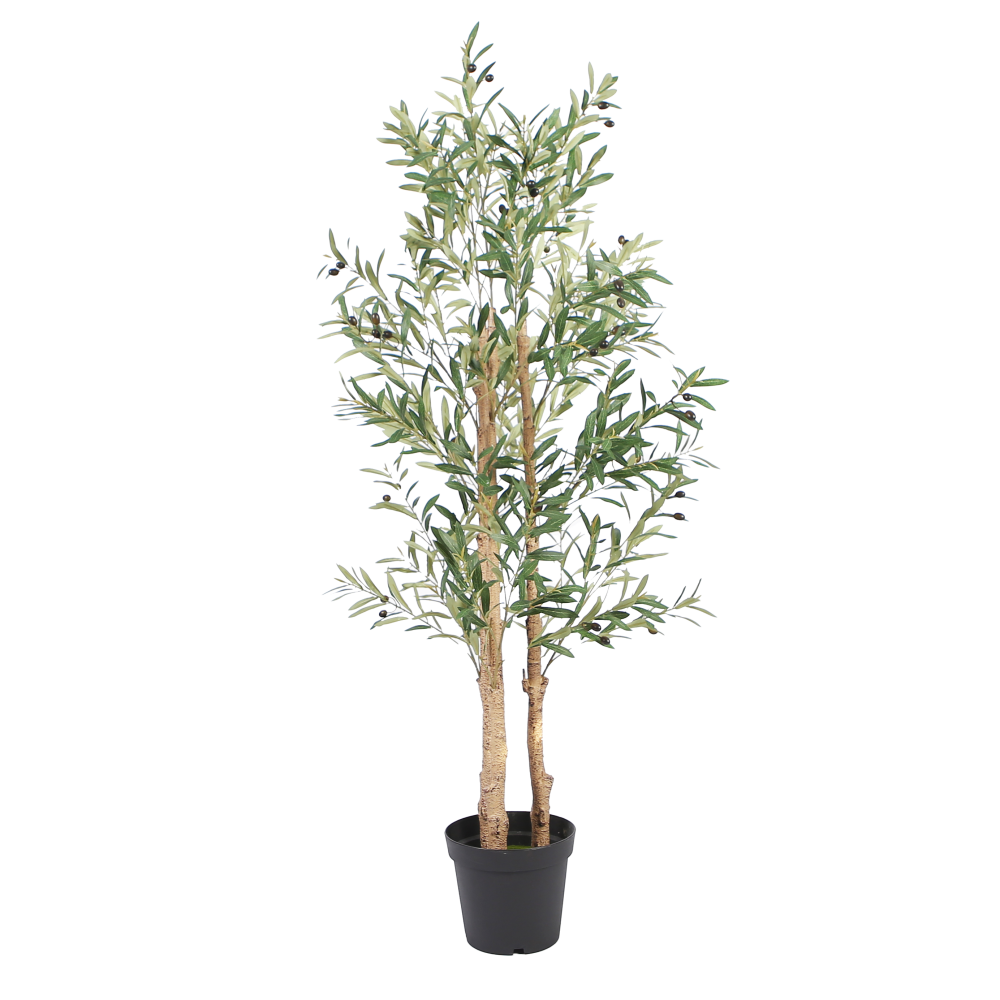 olive-tree-floor-plant-1.6m