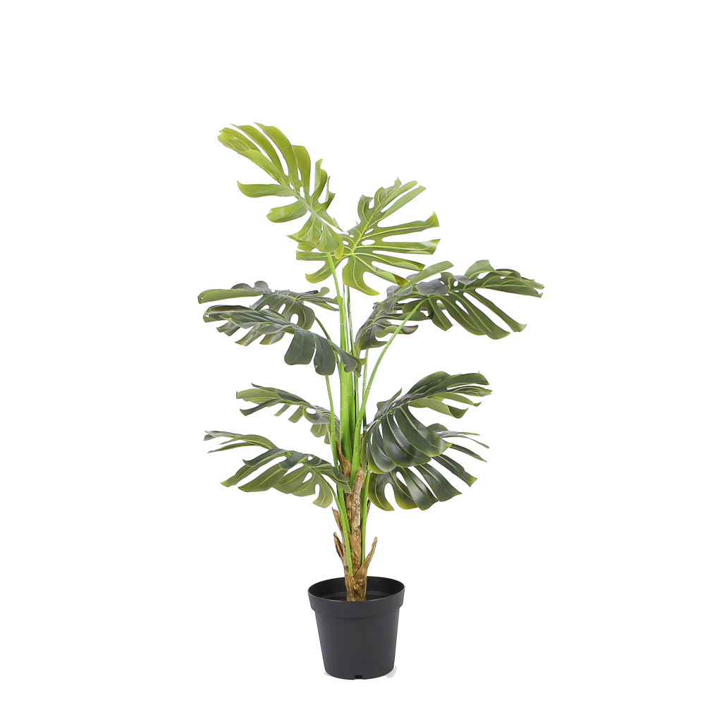 monstera-floor-plant