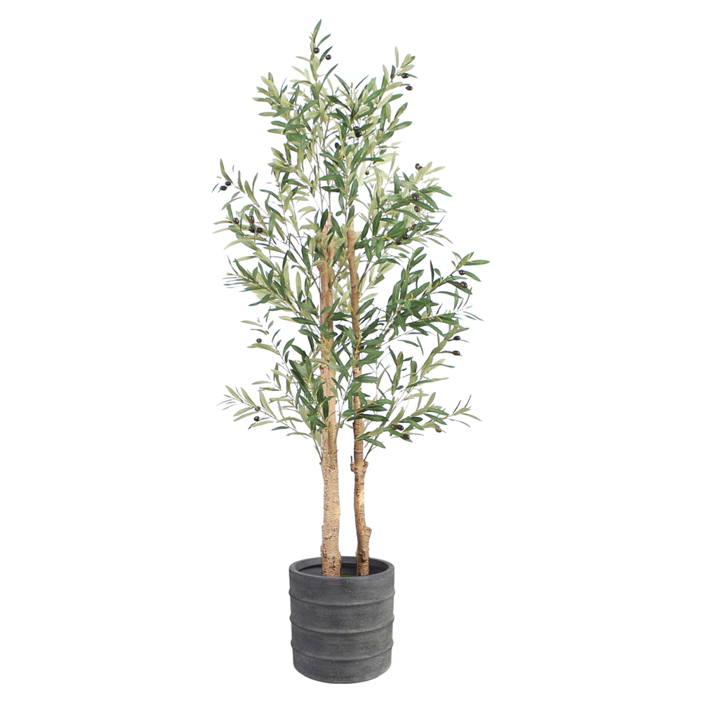 olive-tree-floor-plant-1.6m